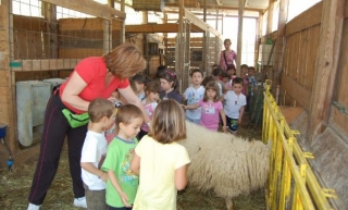  Granja educativa 